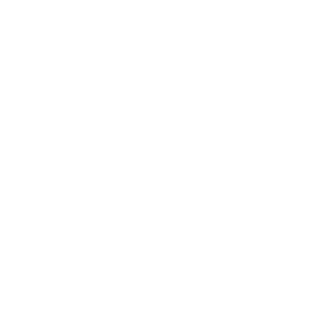 BCorp Logo