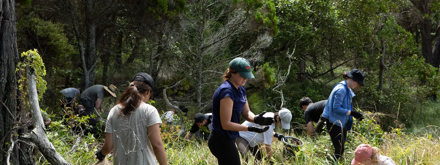 volunteering australia
