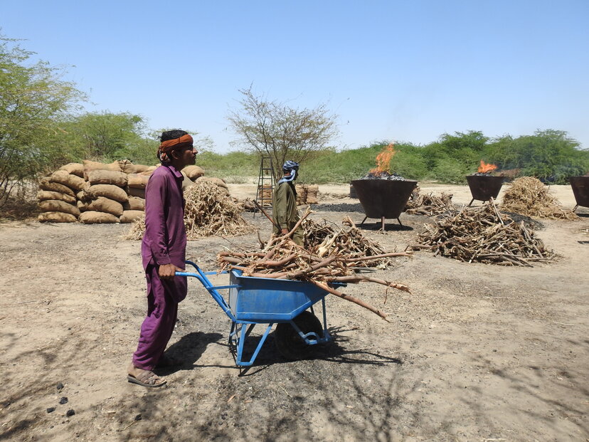 biochar project