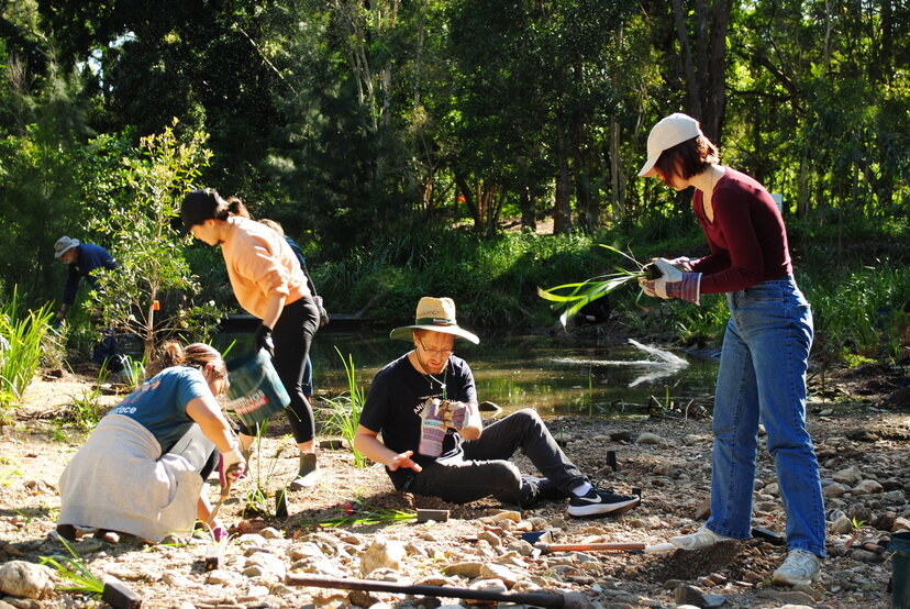 australia volunteering