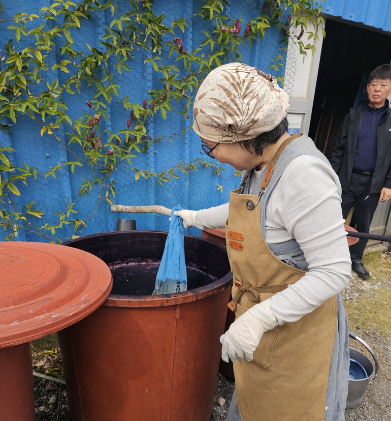 south korea indigo
