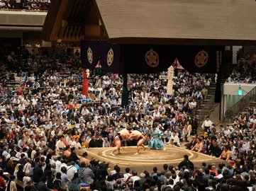sumo japan