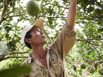 vietnam
