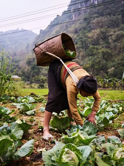 farming