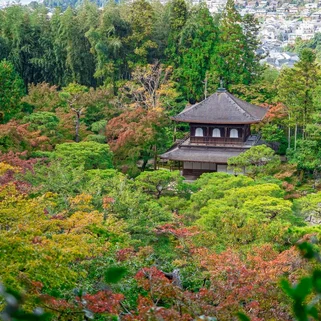 nature shrine